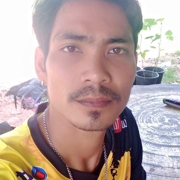 บาส tweet media