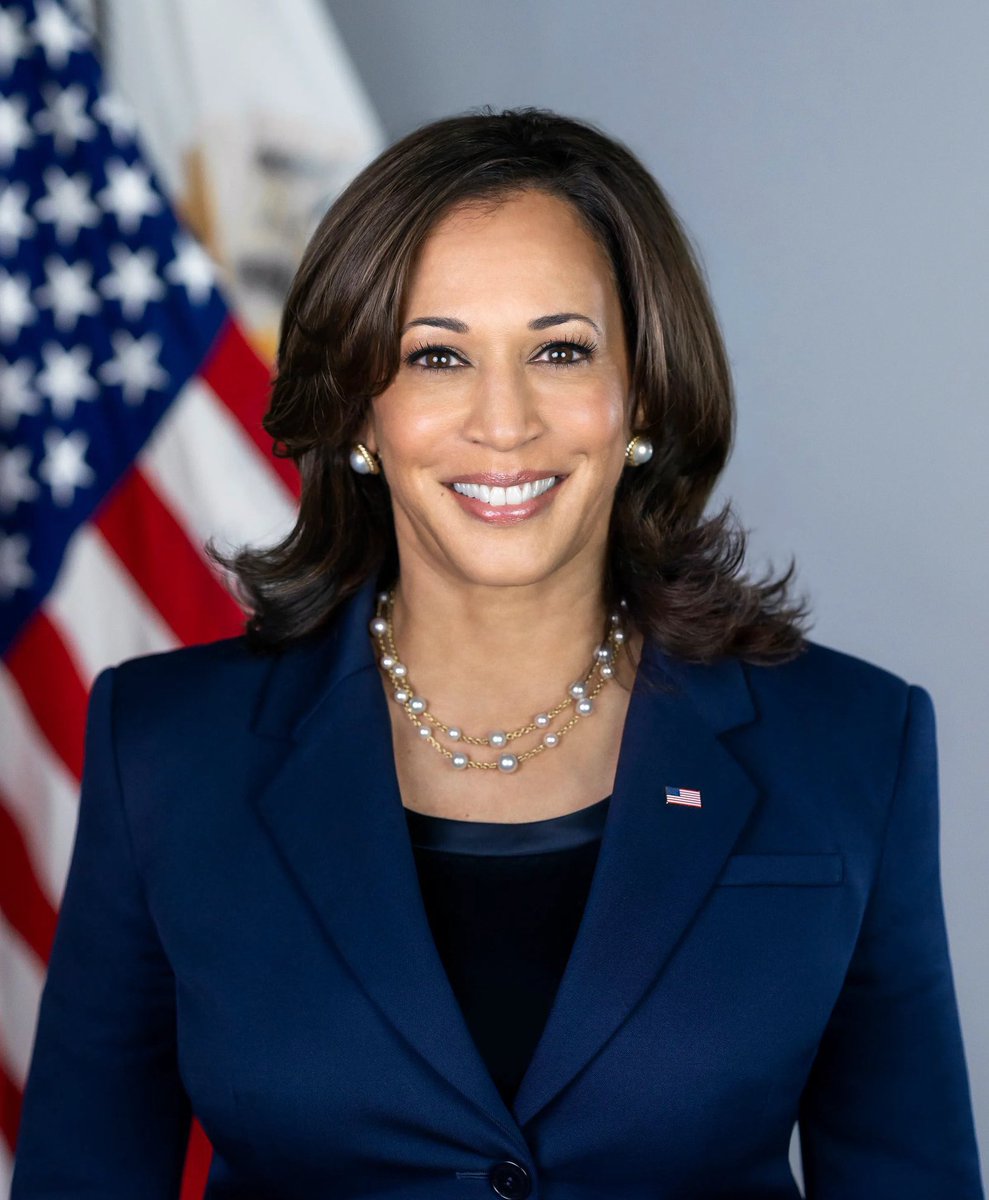 gemahtreeuhh's tweet image. Kamala Harris has won Liurnia of The Lakes. (AP)