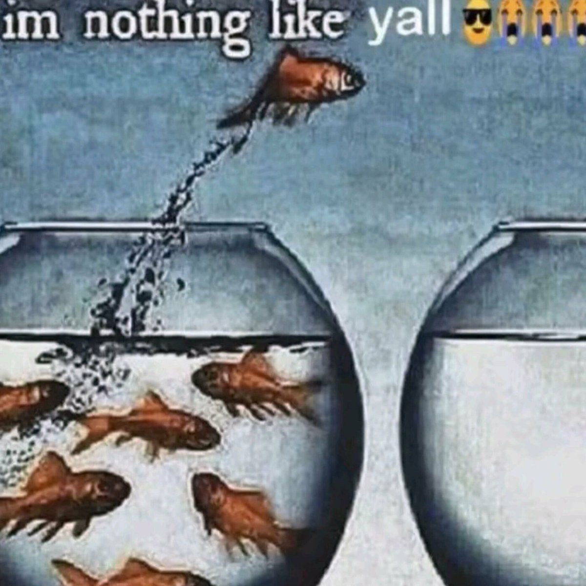 ARCTICKEERY's tweet image. Colorado