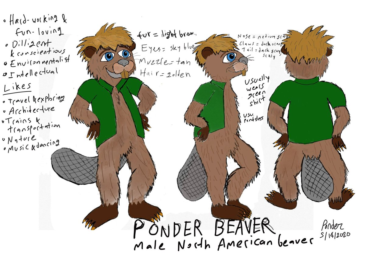 Ponder 💙✊🏼🦫 tweet media