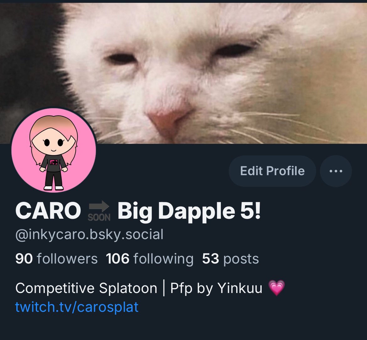 caro (inactive on X) tweet media