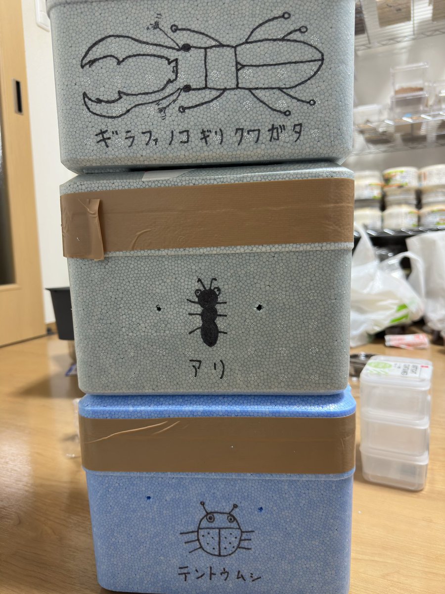 kuwanosuke0015's tweet photo. すいません。
梱包に飽きてまた描いてしまいました。
個人的にはアリが1番難しかったです。
荷物が届いた当選者様、本当にすいません。

（毎回描けるわけじゃないですw） https://t.co/benbZQWuL4