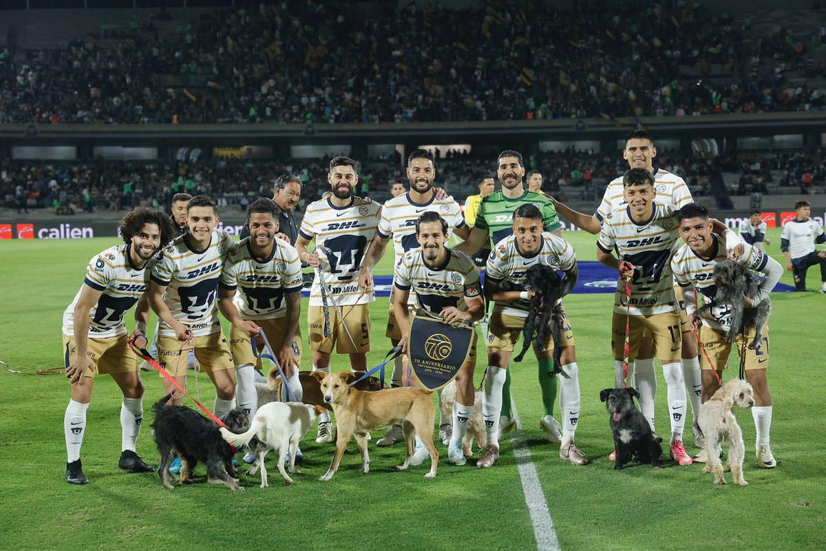 locos_porlau's tweet photo. ¡𝙀𝙎 𝙈𝙄 𝙀𝙌𝙐𝙄𝙋𝙊! 🐾 https://t.co/OGiBIHkOxD
