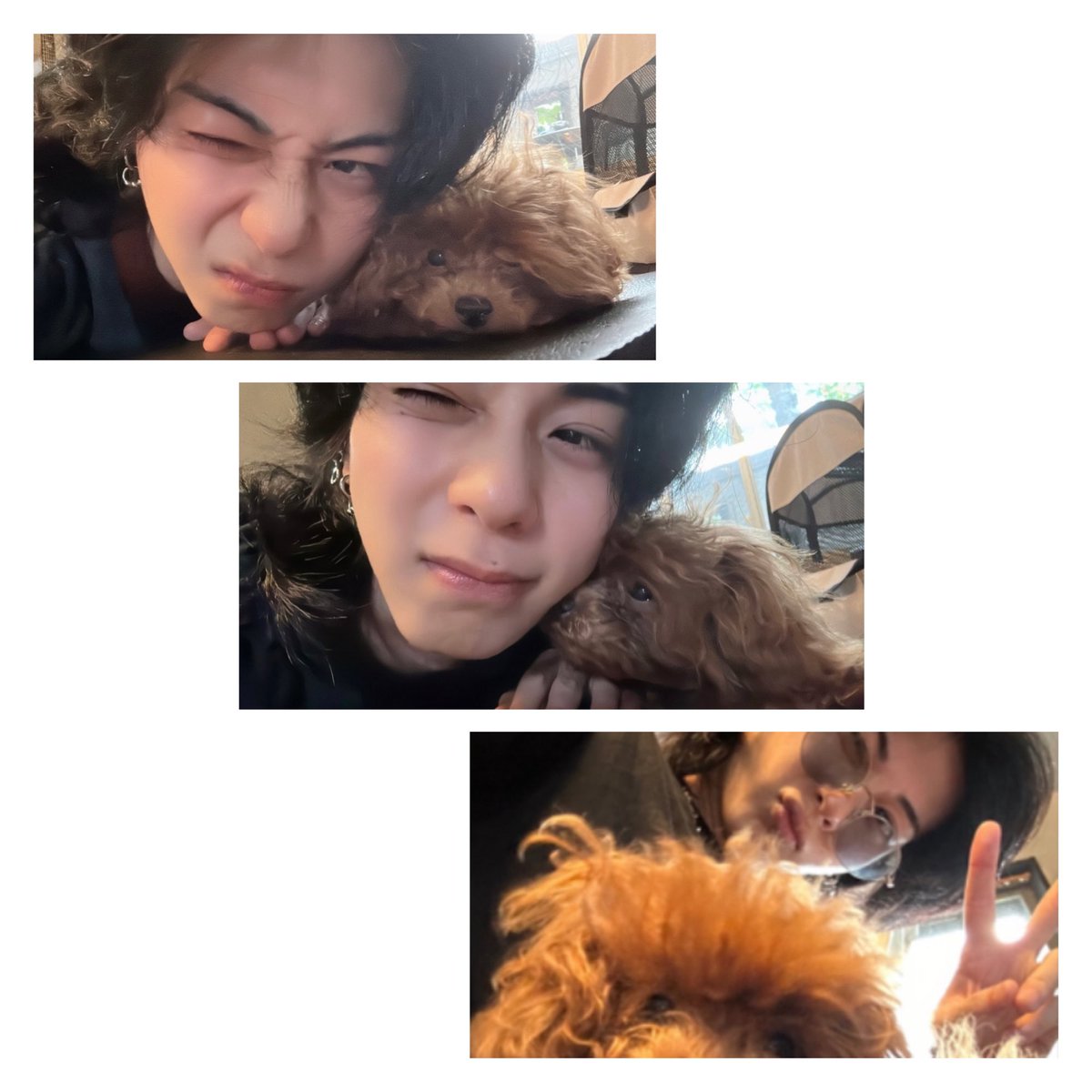 _hachi_0905's tweet photo. 幹也くんとハニちゃん👦🏻🐶

寝起きから☀️

か…か…可愛すぎます…🖤ᩚ

（幹也くんにチュウできるの羨ましすぎるw）

@_mky_mky https://t.co/8CzY8EH7R4