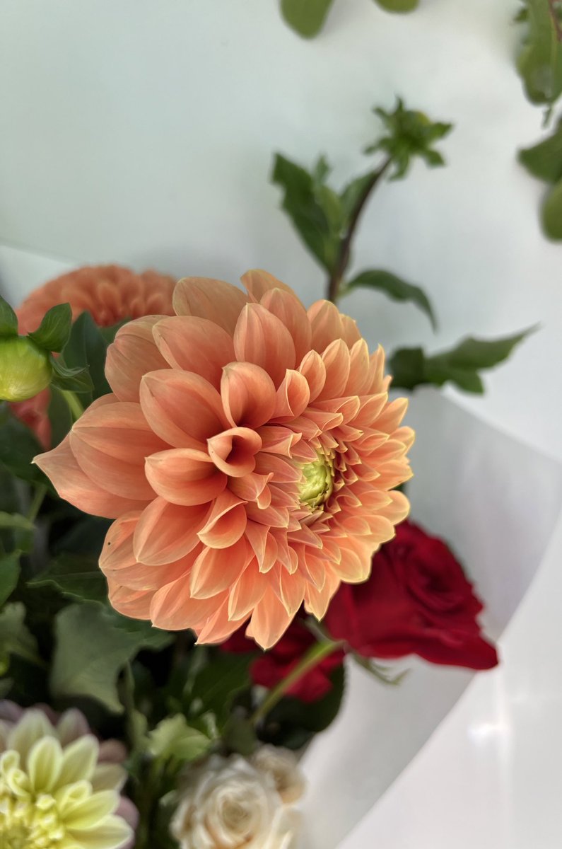 btcflowerlady's tweet image. Bitcoin is absolutely PUMPING!! 

Bring it..! 

🧡 🧡🧡🧡🧡🧡🧡🧡🧡🧡🧡

B.R.I.G.H.T   

O.R.A.N.G.E     

F.U.T.U.R.E 

🧡🧡🧡🧡🧡🧡🧡🧡🧡🧡🧡

#₿   #brightorangefuture 

#bitcoinnotcrypto #fixthemoneyfixtheworld #bitcoinfixesthis #studybitcoin #bitcoinisfreedommoney