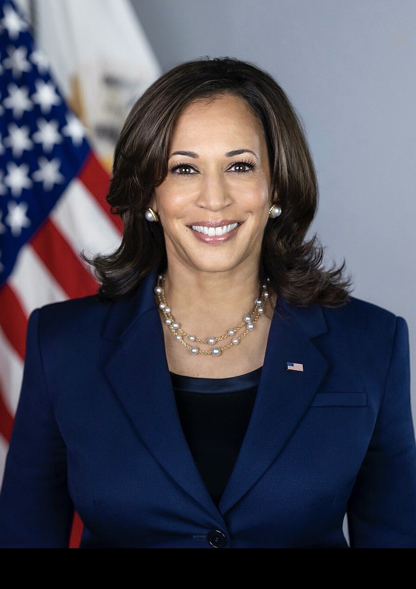 NoBadLanguage's tweet image. Looks like US still can’t vote for a female president. Hillary ran terrible campaign so lot of  blame for electing Trump in 2016 rests w/her + people in their 20s too spoiled to see their rights were about to be taken away. Feel for Kamala w/100 days’ campaign to turn red tide