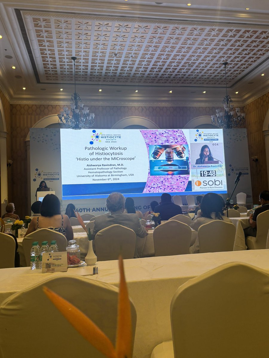 Dr. Aishwarya Ravindran is delivering comprehensive perspectives on the pathologic workup of histiocytosis! #HSGoa2024 #LCH #HLH #histiocytosis #pathology