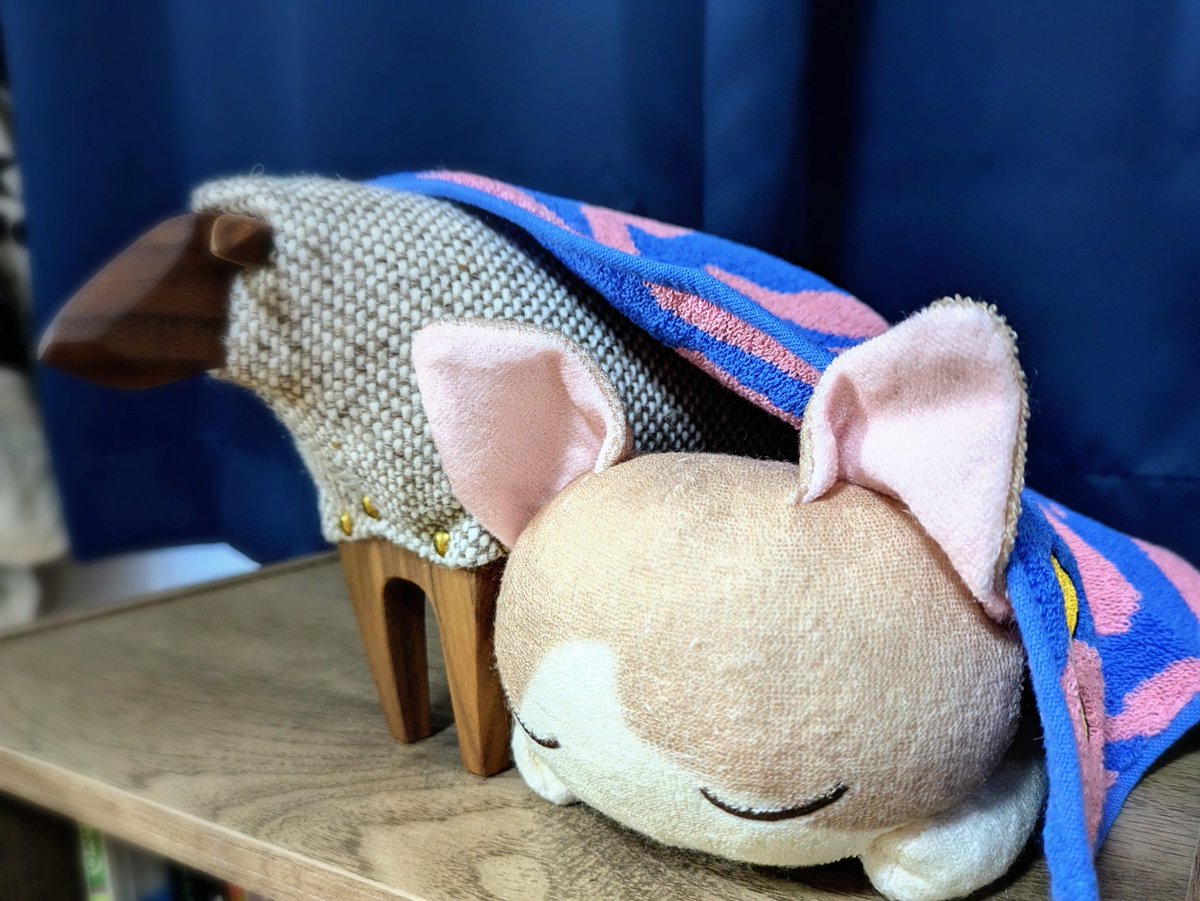 菅原圭sanagi聴きました
「不完全に恋」が優勝しました