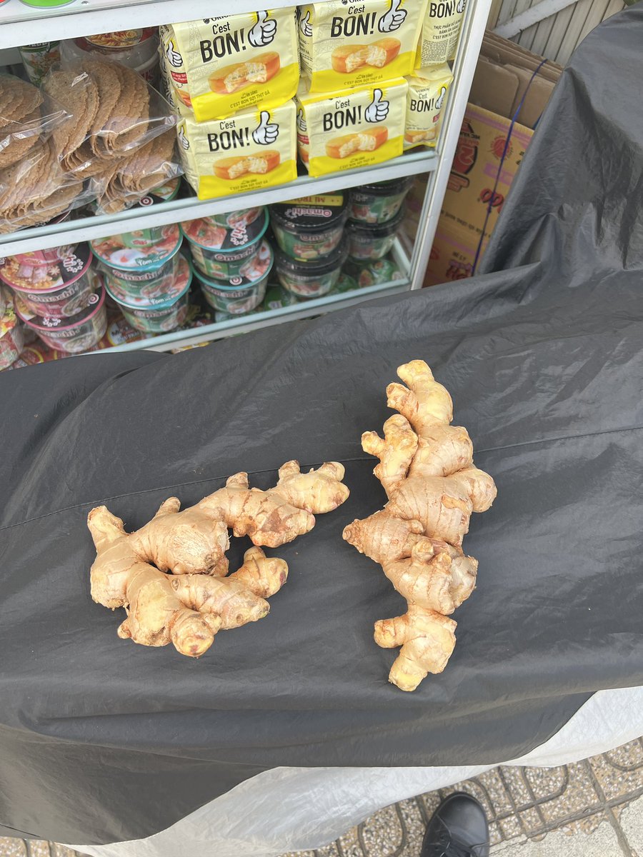 いきなりジンジャー🫚