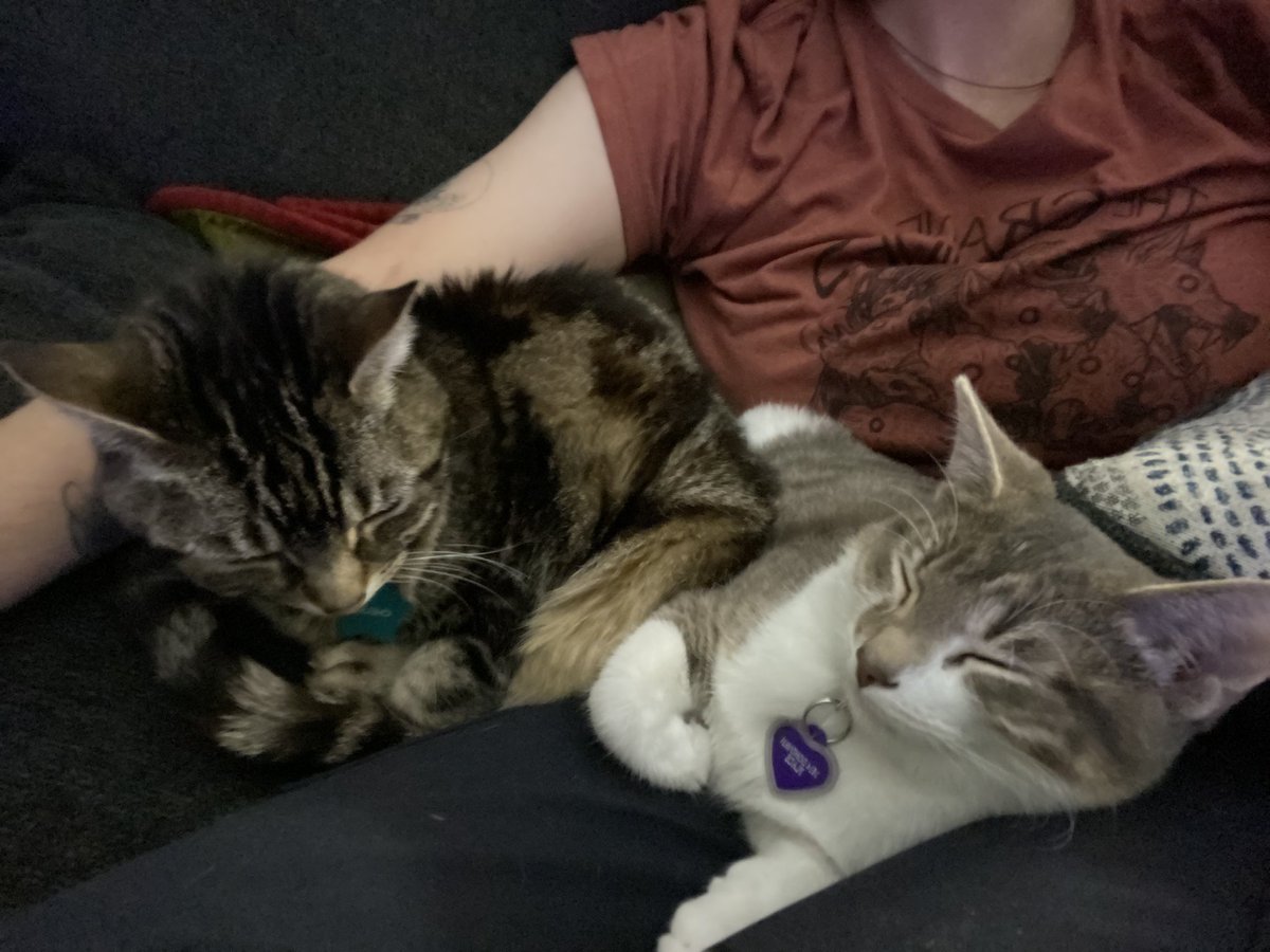 Staticpaws's tweet image. Look at these beasts