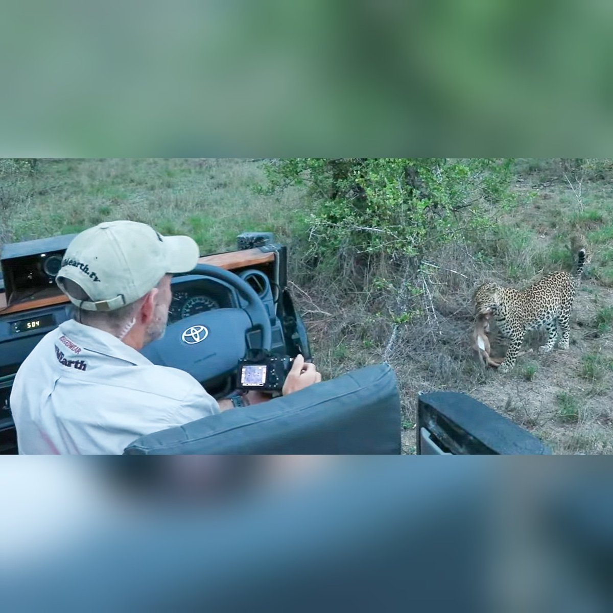 JoyR_1980's tweet image. Sunrise safari 6 November 2024. Splendid morning so far. #WildEarth #Tlalamba #Tshipondo