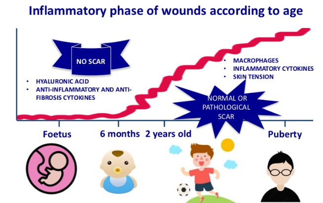 📢 CALL FOR SPEAKERS/PAPERS!
Share your research at the 3rd Global Congress on Sepsis &amp; Wound Care in San Francisco, CA (Aug 18-19, 2025) or the 4th Edition in Dubai, UAE (Oct 6-7, 2025). In-person &amp; virtual options available!
Boost your research impact—submit your abstract today