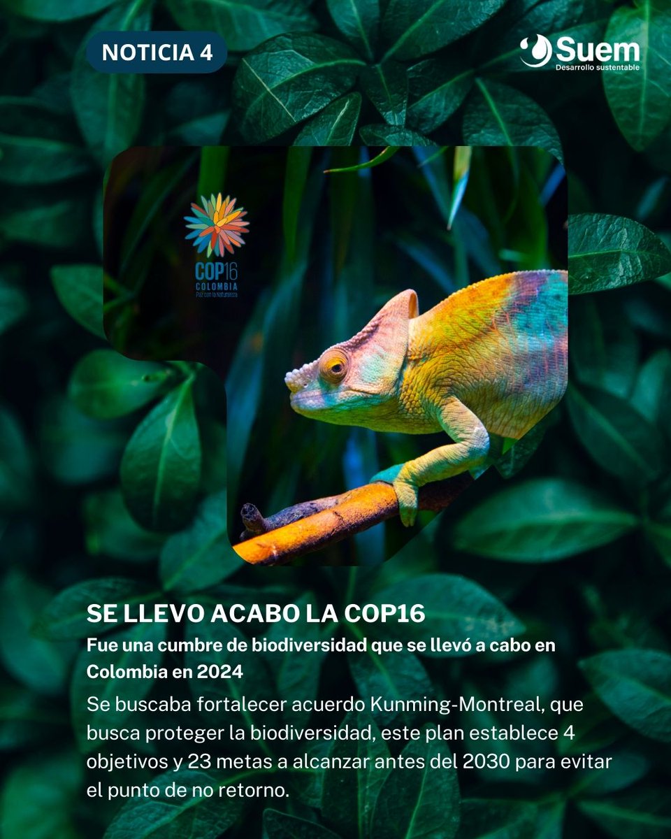 Suemsas's tweet photo. Te dejamos las noticias más relevantes de este mes 🌿🌿🌿 https://t.co/pY1c9eWbqc
