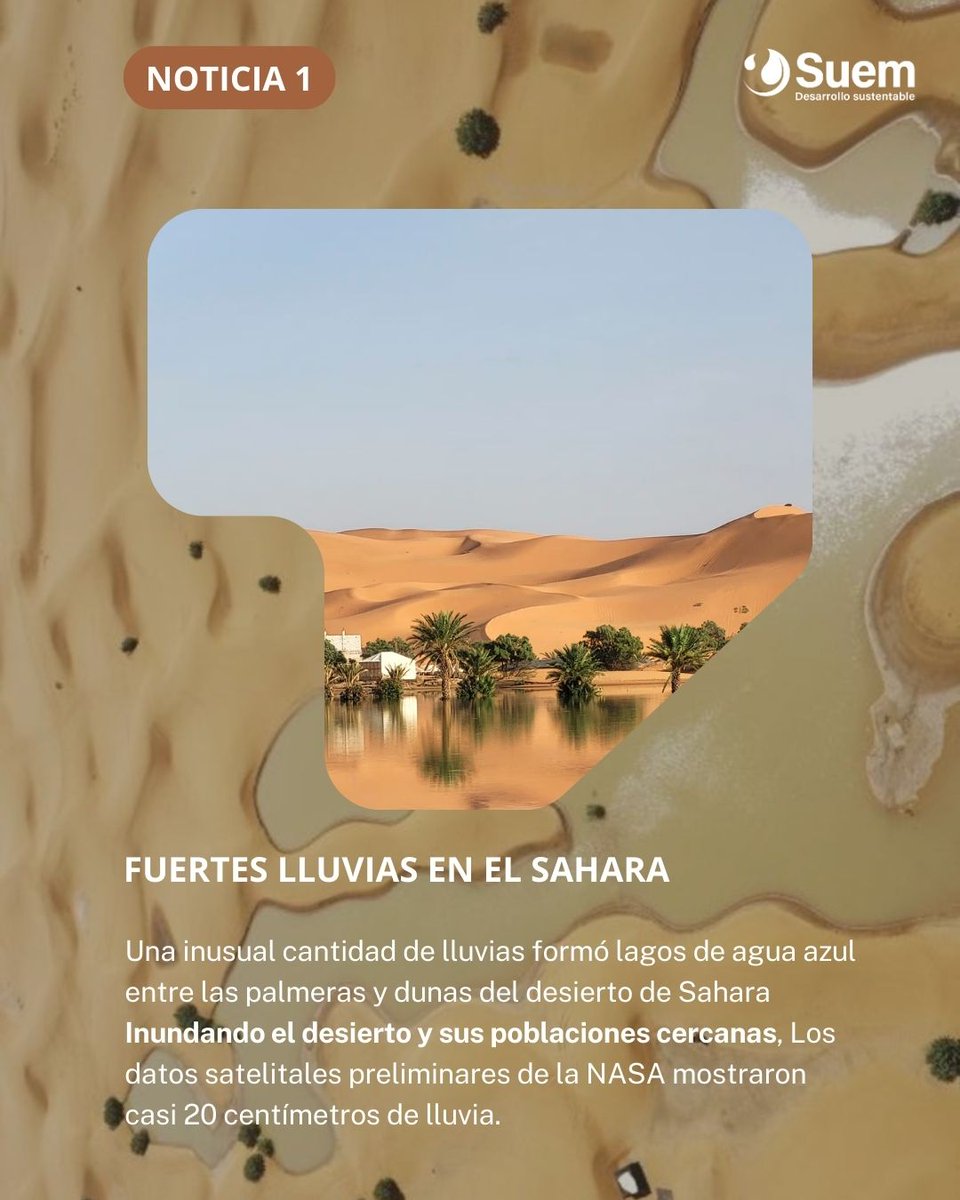 Suemsas's tweet photo. Te dejamos las noticias más relevantes de este mes 🌿🌿🌿 https://t.co/pY1c9eWbqc