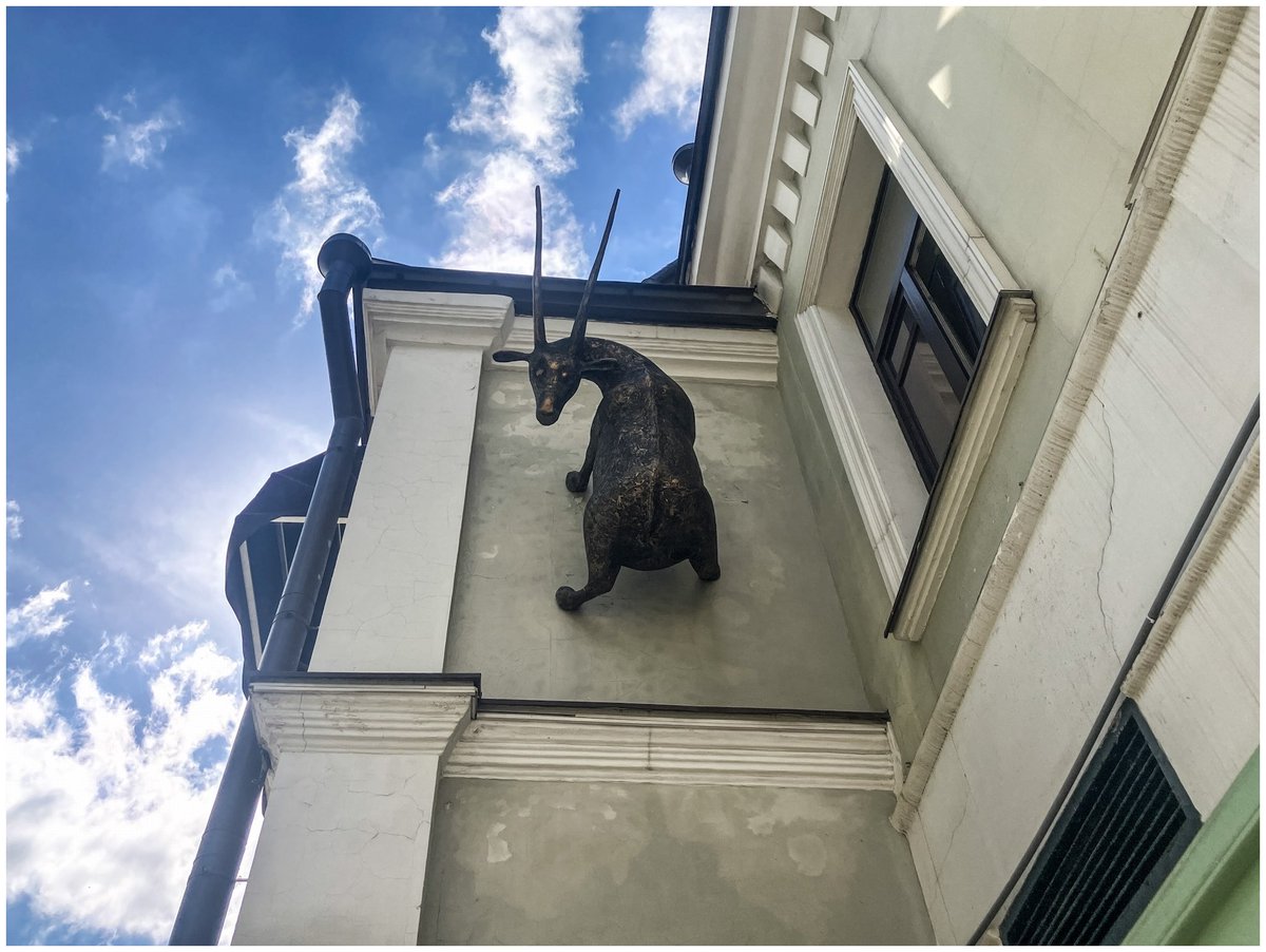 mueller_maks's tweet photo. @Miniwhales_io Kozlovica | 10/10 | XTZ 1.00

🐐 https://t.co/KzG4dfdqKL https://t.co/r1WycEjNqp
