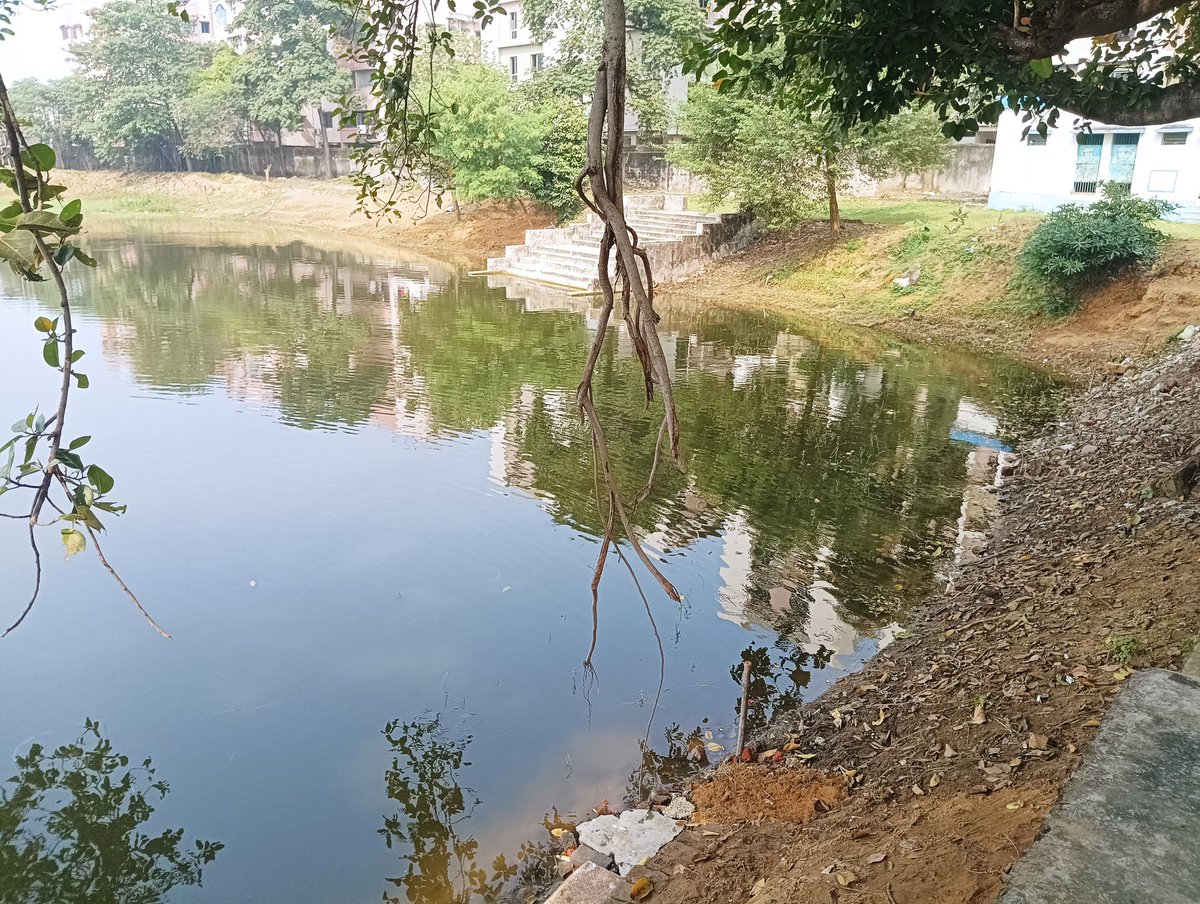 Thesage_lord's tweet photo. Ghaat cleaning by our Chath Puja committe https://t.co/XQZ8TxHOxU
