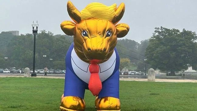 deriderofthe's tweet photo. @KFOX14 No surprise. We know who Texans really are behind closed doors and under those white hoods over their heads. https://t.co/f4VNMPhTN2