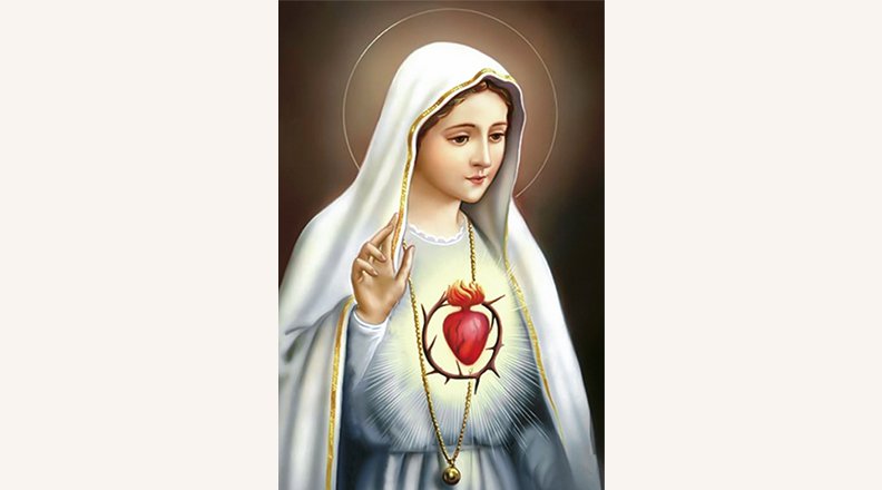 philo1929's tweet photo. @RealCandaceO Amen....
In the end my immaculate heart will triumph🙏🏻🙏🏻🙏🏻 https://t.co/06q0bdwuqt
