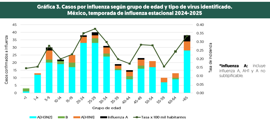 rafoji's tweet photo. En la temporada de influenza estacional 2024 al corte de información, se han notificado 340 casos positivos a influenza (64 nuevos) y 4 defunciones al momento.     -Sigue predominando la AH3N2 (76.2%)    
-Yucatán sigue en primer lugar de casos esta temporada
-Grupo de edad con mayor numero de casos de influenza ya es el de 25-29 años (11.7%)
2/