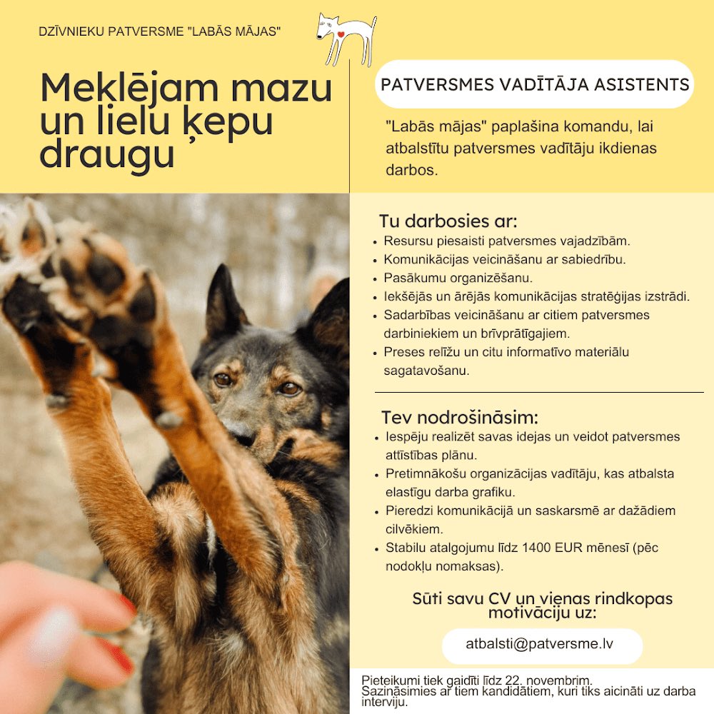 patversme's tweet photo. Varbūt Tu vai zini, kādu?
👉 www.patversme/meklejam-mazu-un-lielu-kepu-draugu/ https://t.co/EUjCLoNSez