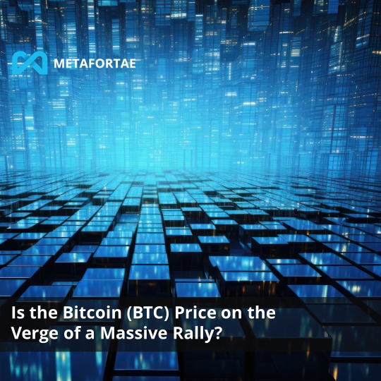 Metafortae_io's tweet photo. With the race for the US Presidency raging on at full speed, Bitcoin’s price has also skyrocketed.

As CryptoPotato reported, BTC managed to chart a new all-time high, pushing to $75,000.
This came as the odds of Donald Trump winning the race increased to around 90% on Polymarket https://t.co/1lxaqBbFXa