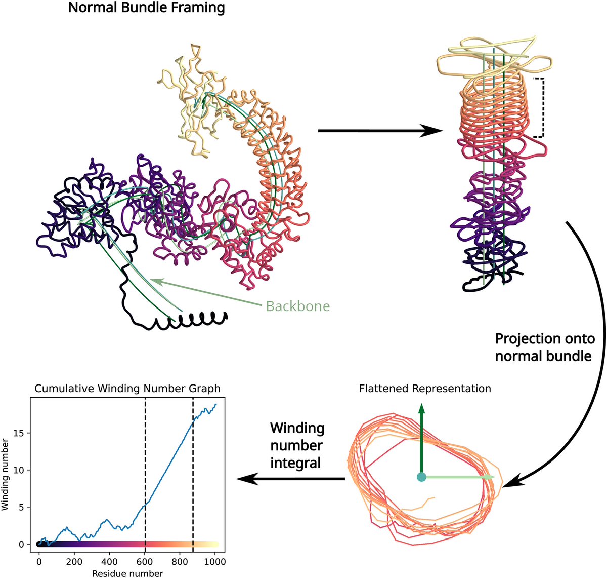 DailyHealthcareAI (@aipulserx) on Twitter photo Can the combination of protein structure prediction and geometric data analysis overcome the limitations of sequence-based methods in identifying leucine-rich repeat (LRR) domain boundaries and repeat units? <a href="/PLOSCompBiol/">PLOS Comp Biol</a> <a href="/UCBerkeley/">UC Berkeley</a>
"Structure-aware annotation of leucine-rich Can the combination of protein structure prediction and geometric data analysis overcome the limitations of sequence-based methods in identifying leucine-rich repeat (LRR) domain boundaries and repeat units? <a href="/PLOSCompBiol/">PLOS Comp Biol</a> <a href="/UCBerkeley/">UC Berkeley</a>
"Structure-aware annotation of leucine-rich