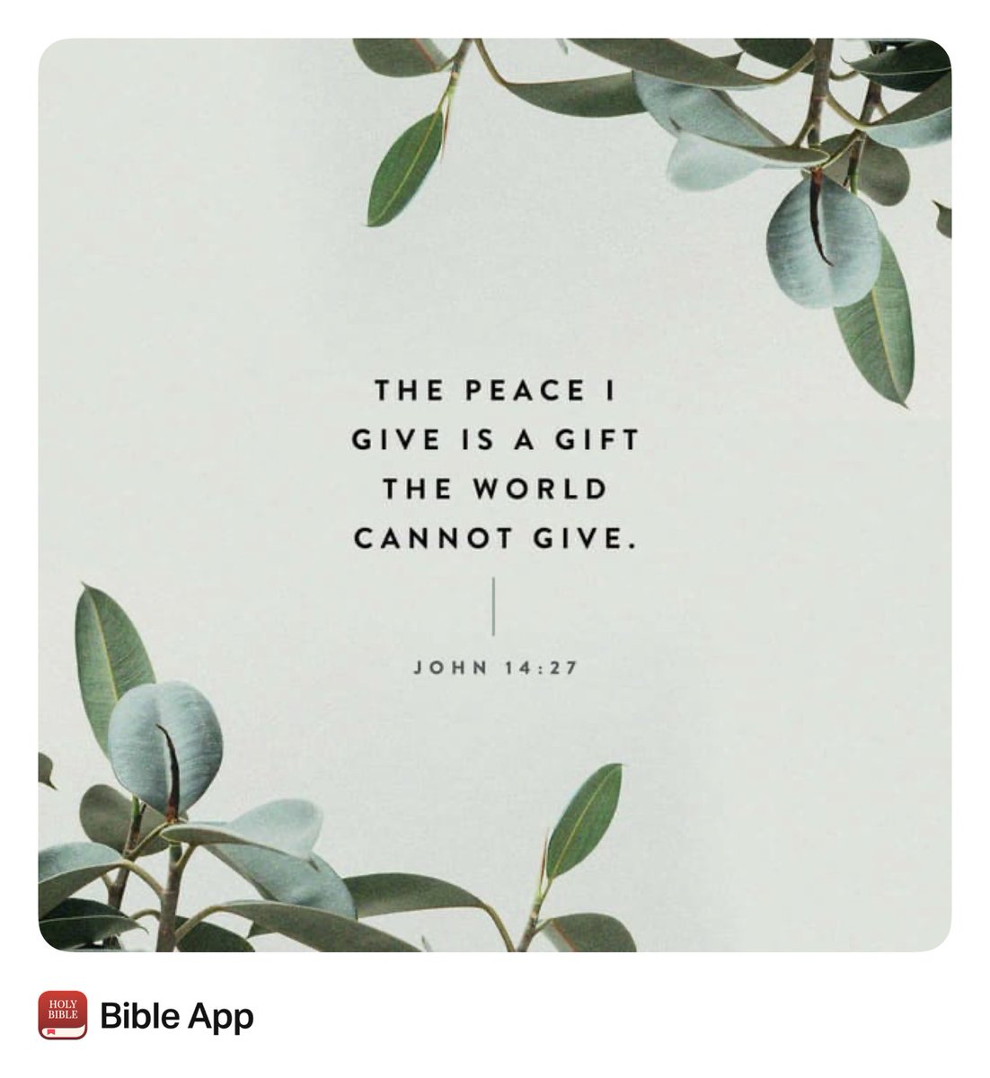 MommaCru tweet media