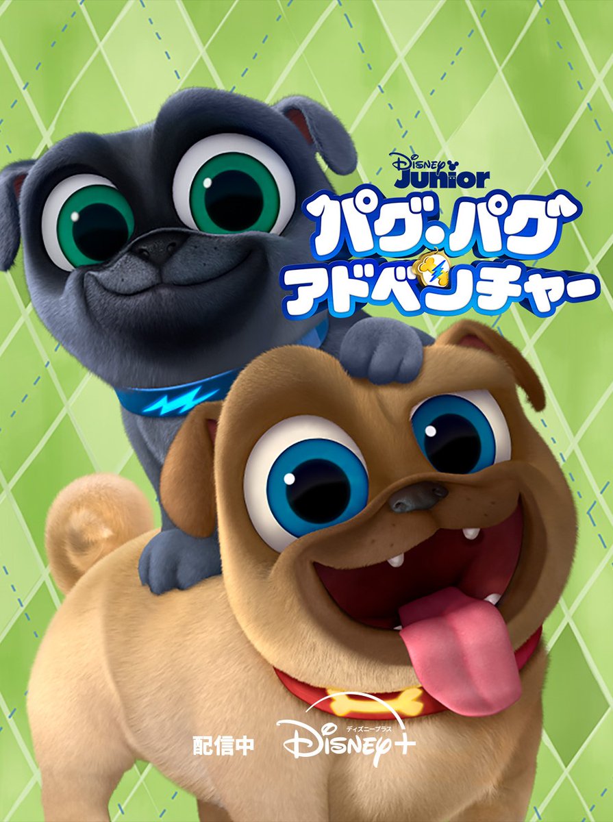 ⋱ シーズン5 配信開始🐾 ⋰ 🆕『パグ・パグ・アドベンチャー』 どんな
