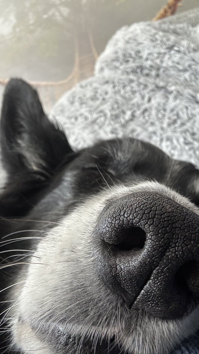 Hello mes amis 😉🥰