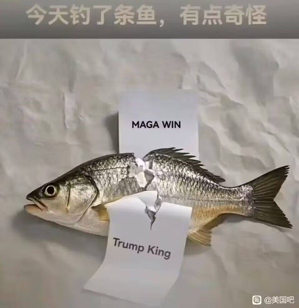 今天钓鱼发现鱼肚子里有纸条