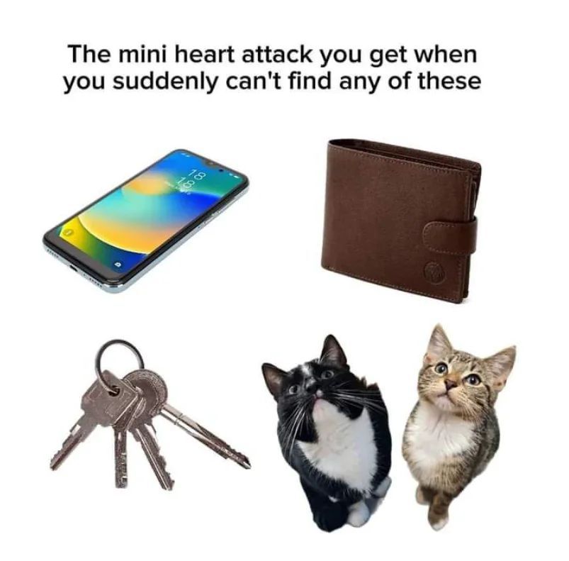 WholesomeMemes (@wholesomememe) on Twitter photo 