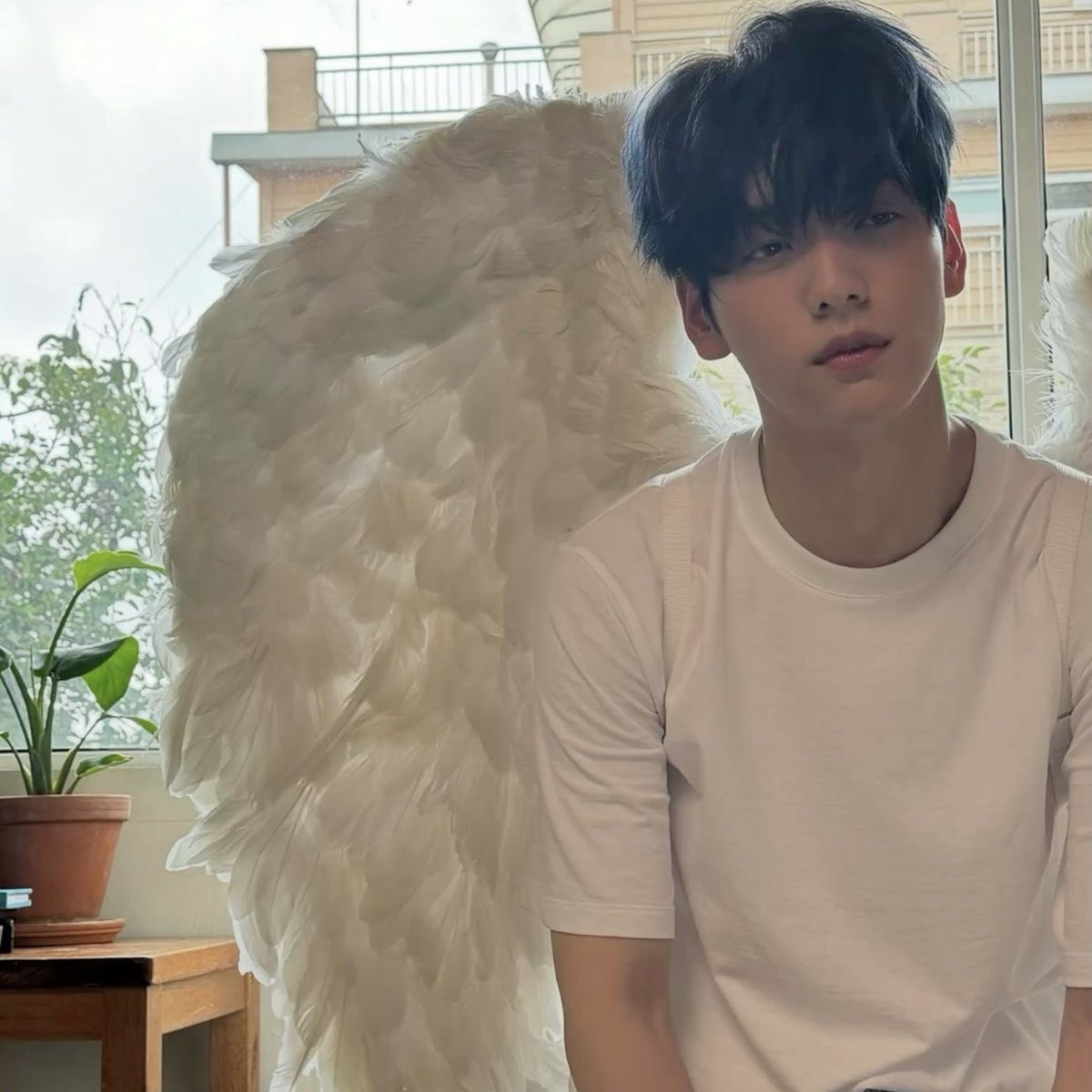 taeelovers's tweet photo. ⋆. 𐙚 ˚  Ruleta x yt ⭑.ᐟ

⊹ ࣪ ˖  3 ganadores ᵎᵎ

-Fav y rt
-Comenta tu user

Cierre inesperado 

-🐨 https://t.co/DIBh5iyYkU