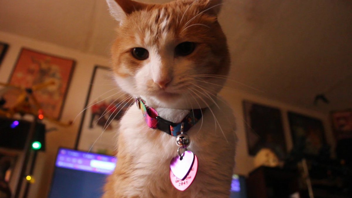 Goodnite everboddy.  I waz 100% goode . I wish   everboddy else had been .