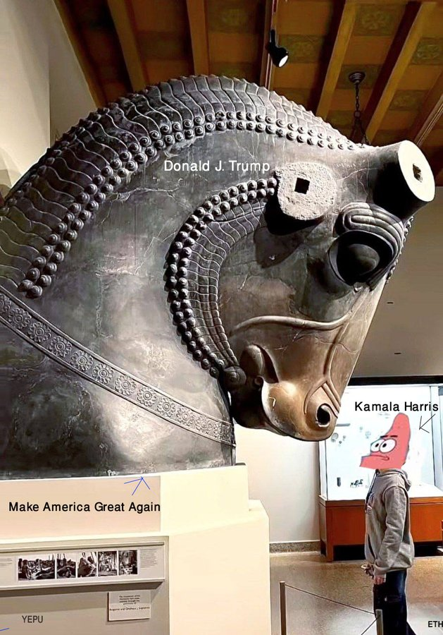 Trump vs Harris: live results map of the US presidential election