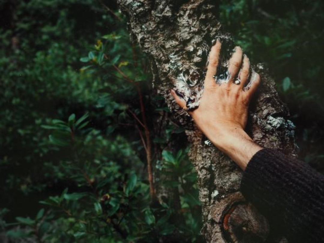 La Lectora (@revistalectora) on Twitter photo Bon dia! Sabem que és un dia trist, però aquesta setmana ens acompanya <a href="/MiriamRuizRuano/">Míriam Ruiz-Ruano</a>, que llegeix "Humanum est" de Ponç Pons: lalectora.cat/2024/11/05/tro…
I Carla Marco llegeix Perejaume (!) i el seu "El sol i les fogueres": lalectora.cat/2024/11/05/bes…
Amunt! Bon dia! Sabem que és un dia trist, però aquesta setmana ens acompanya <a href="/MiriamRuizRuano/">Míriam Ruiz-Ruano</a>, que llegeix "Humanum est" de Ponç Pons: lalectora.cat/2024/11/05/tro…
I Carla Marco llegeix Perejaume (!) i el seu "El sol i les fogueres": lalectora.cat/2024/11/05/bes…
Amunt!