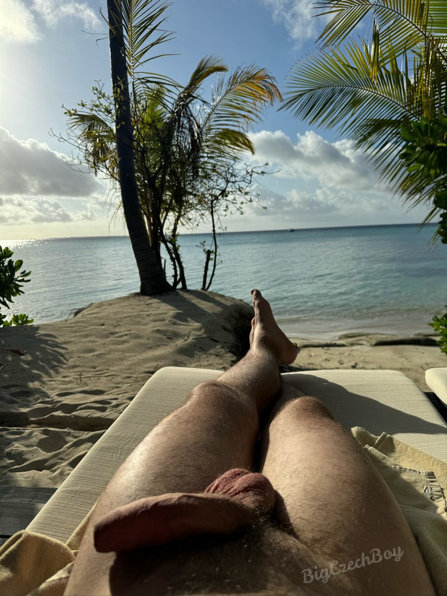 BigCzechBoy (11K) tweet media