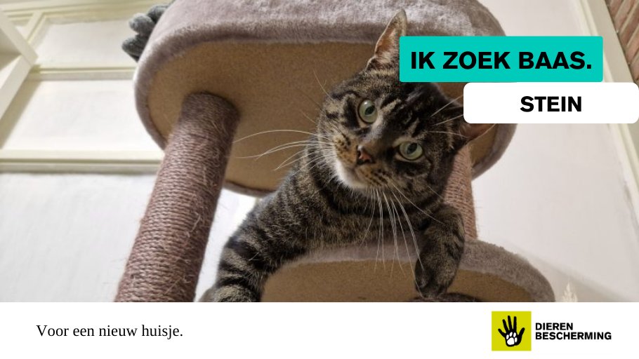 Dierenbescherming tweet media