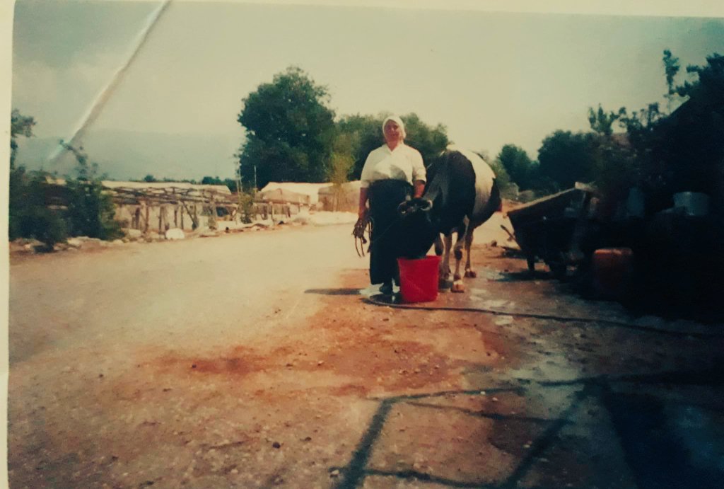 Abdiloban071's tweet photo. Evinin önünde ineğini sulayan Yörük Kadını. 1985-1990, Kumluca. https://t.co/k8gUGJAgY5