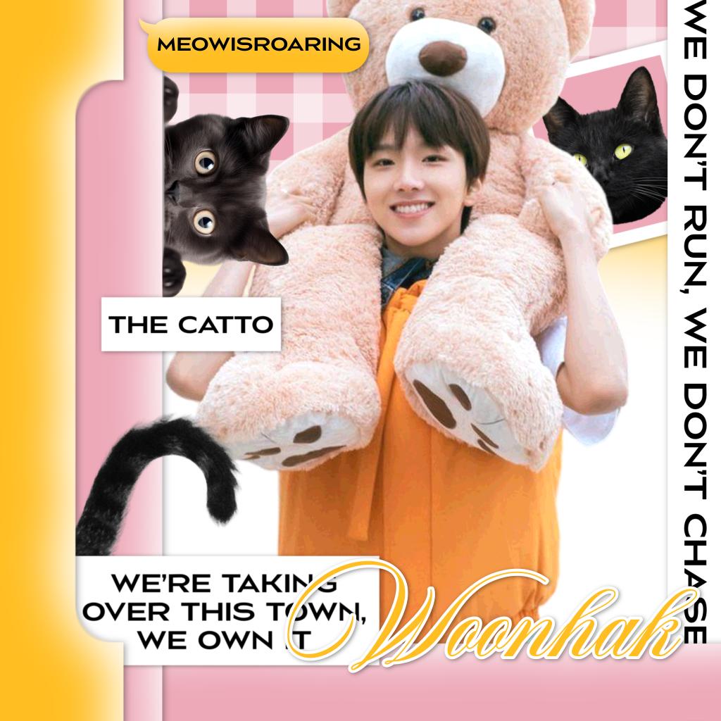 Marshall tweet media