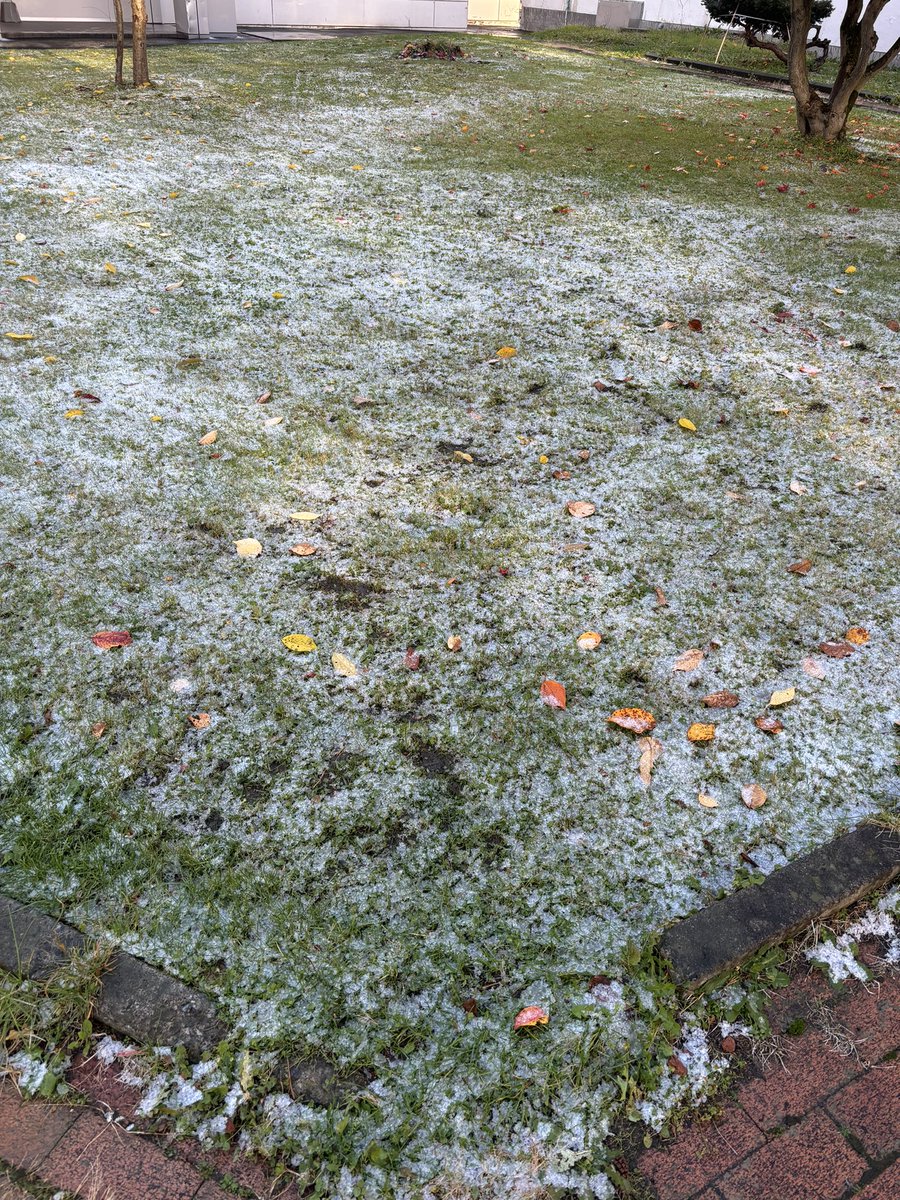 秋🍂と冬⛄️