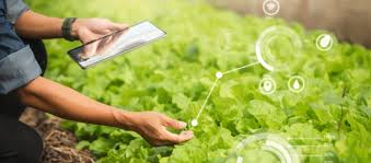JournalBotany's tweet photo. Today's breakthrough in #AgriculturalScience: Researchers have developed a drought-resistant crop variety that could help tackle global food security challenges. This innovation offers hope for sustainable farming in arid regions. 🌾💧#SustainableAgriculture #FoodSecurity #AgTech https://t.co/PUqzStFw9w