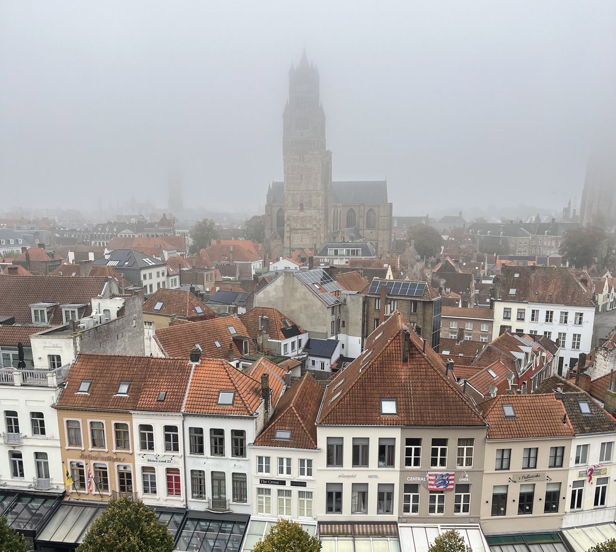 swtlai's tweet photo. So stoked to be in Bruges for a week of exciting science and discussion in T1D immunology at my first @ImmDiabSoc congress at #IDS2024 🇧🇪😄 https://t.co/hhqguM2bY7