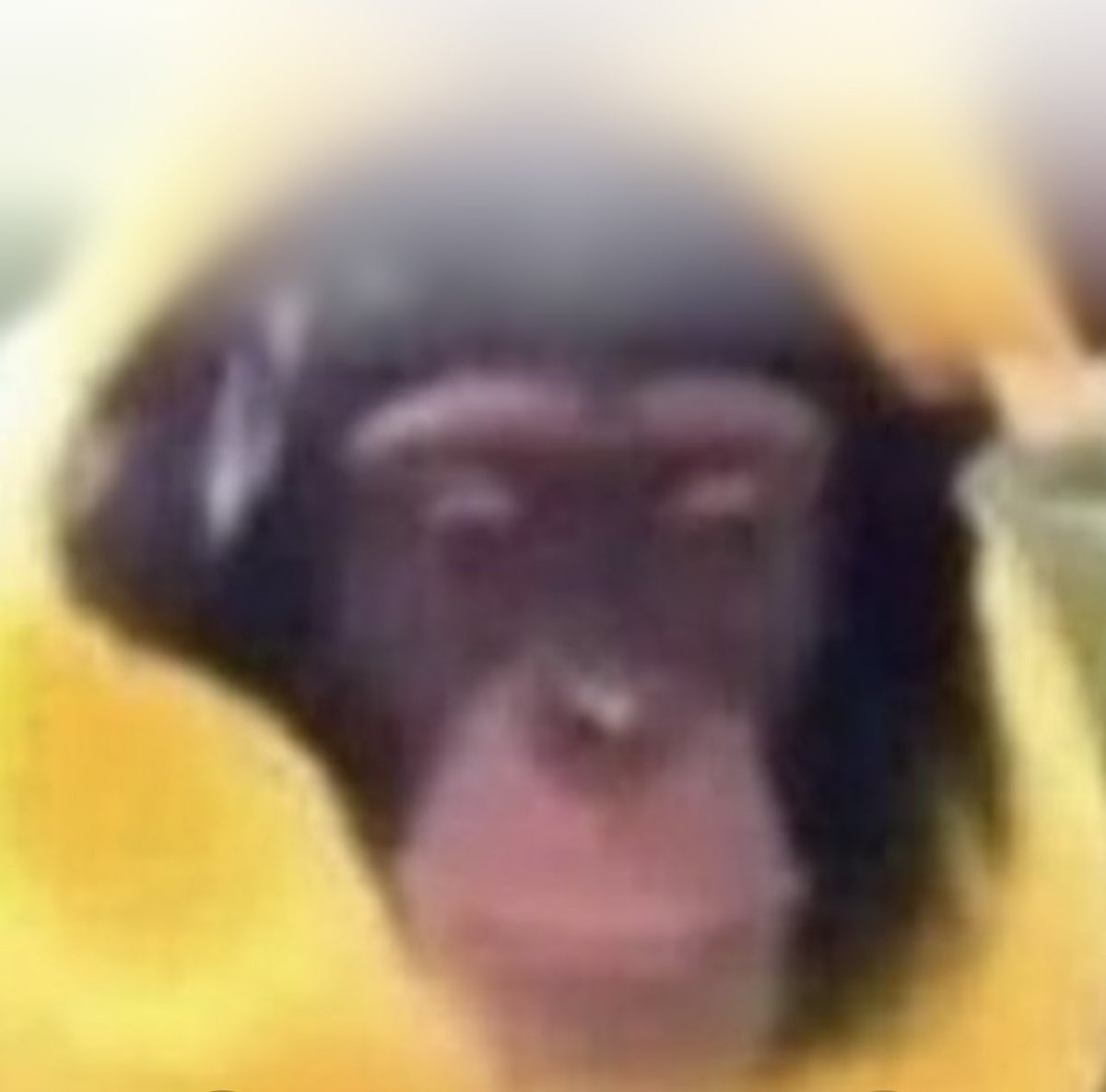 Jaron Guerra tweet media