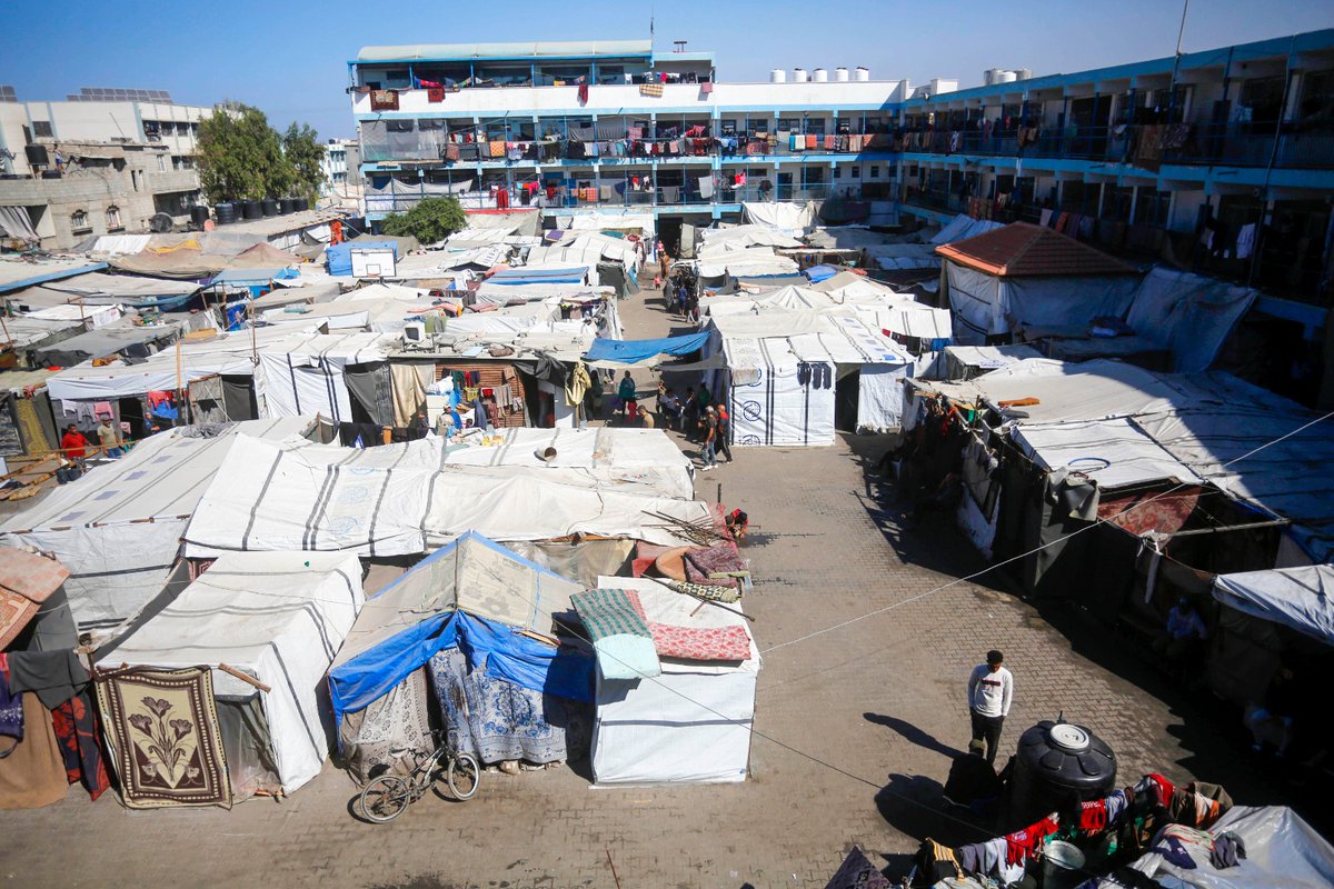 For over a year now, <a href="/UNRWA/">UNRWA</a> schools in #Gaza have been turned into shelters. 

In the buildings that are still standing, displaced families are struggling to survive. Living conditions are dire, people need everything, and the humanitarian situation keeps deteriorating.