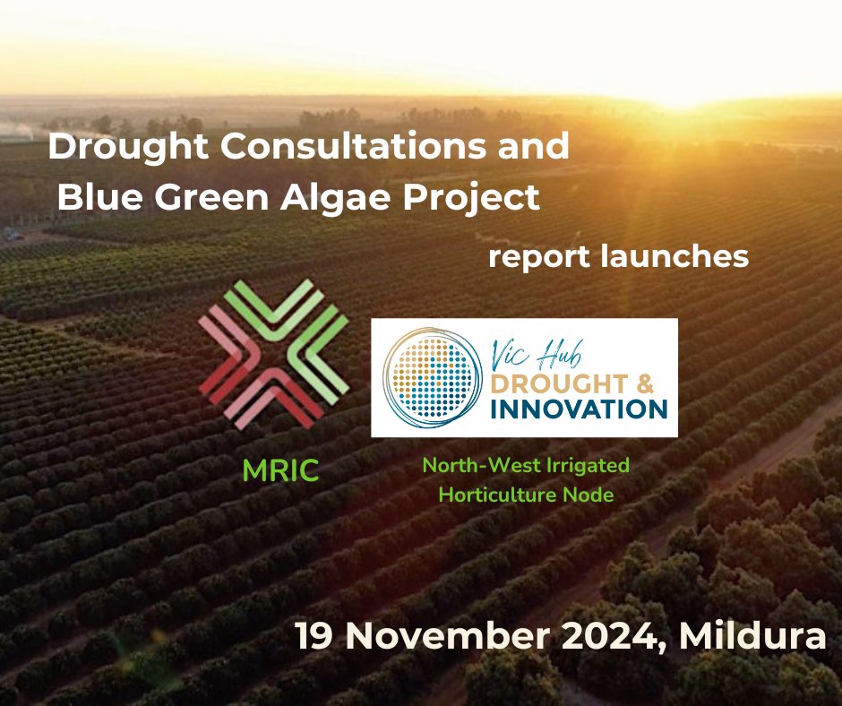 Vic Drought and Innovation Hub (@vichub_drought) on Twitter photo 🌱 Join the #VicHub’s free event on #droughtresilience and blue-green algae accumulation phenomenon and management strategies. 
👉  vicdroughthub.org.au/news-events/ev…
#VicDroughtHub #DroughtPreparedness #FutureDroughtFund 🌱 Join the #VicHub’s free event on #droughtresilience and blue-green algae accumulation phenomenon and management strategies. 
👉  vicdroughthub.org.au/news-events/ev…
#VicDroughtHub #DroughtPreparedness #FutureDroughtFund