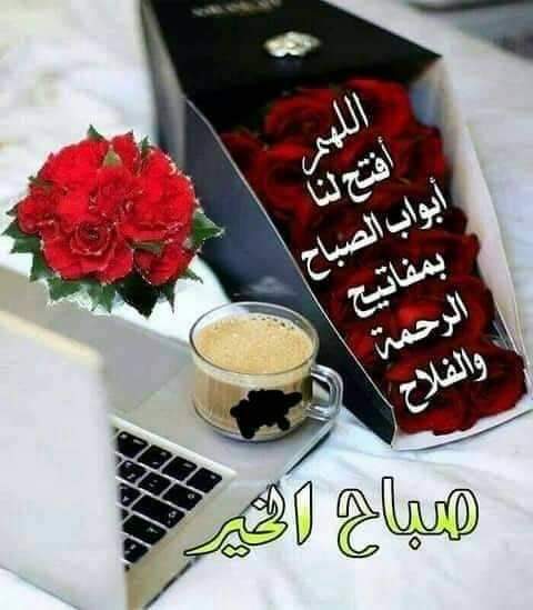 AzizMiliana's tweet photo. @nour_saad58 https://t.co/0sMhKwiqs2