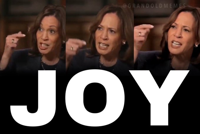 ElonMuskAOC's tweet photo. Where did the Joy go? https://t.co/VzJqu3O20L