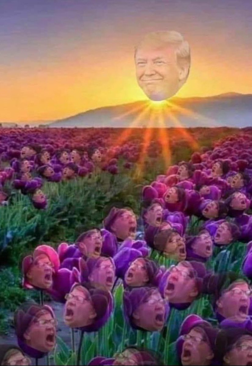 moeva18's tweet image. Begrijp dat in de Usa de zon ook is gaan schijnen?

Ik wens jullie dan hele mooie X dagen toe want het wordt lachen!