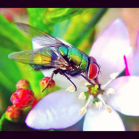 Professor Emma Power tweet media