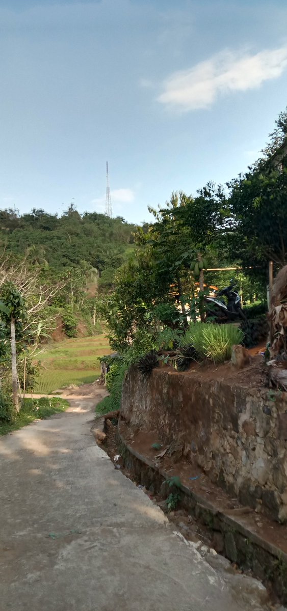 tanpaketerangn's tweet photo. Disini juga banyak produksi kicimpring, keripik pisang/singkong, ada pemancingan, proyek ayam boiler, bengkel mobil juga ada. Kabar baiknya sekarang jalannya udah gede dan bagus dari  Mangkalaya bisa tembus ke Cicantayan sebelumnya jalannya buntu cuman bisa di lewatin motor aja https://t.co/A2VaynC1S3